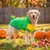 HausPets Dinosaurier Kostüm Hund Fleece 6XL Halloween