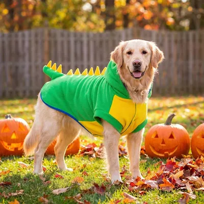 HausPets Dinosaurier Kostüm Hund Fleece 6XL Halloween