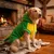 HausPets Dinosaurier Kostüm Hund Fleece 6XL Halloween