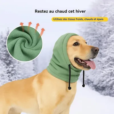 HausPets Gorro de invierno gris para perro + bufanda tubular (L)
