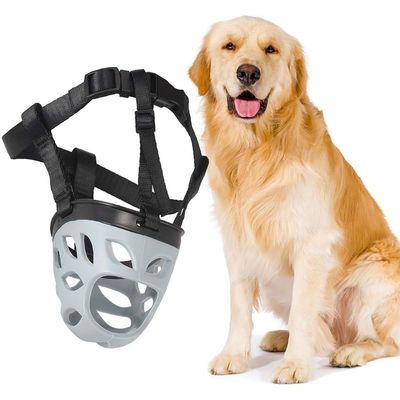 Muselière chiot plastique - Mange et boit, réglable