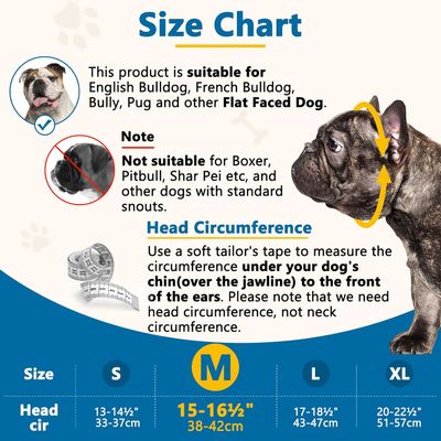 Muselière silicone museau court - Bouledogue, Shih Tzu, Carlin
