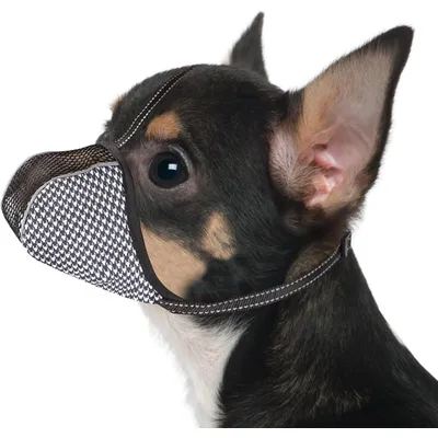 Muselière maille XS réfléchissante - Très petite taille, toilettage Muselière maille XS réfléchissante - Très petite taille, toilettage