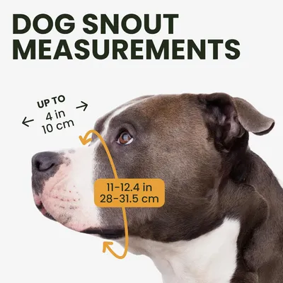 HausPets Metall-Maulkorb für Hunde mit Verstellbaren Lederriemen