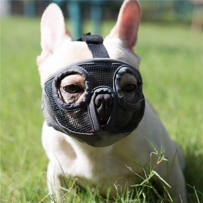 Mesh-Maulkorb 28-43 cm - für Bulldogge, Anti-Beißen M