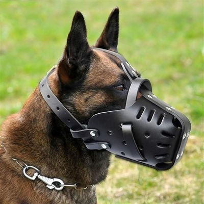 Leder-Maulkorb Deutscher Schäferhund - Anti-Beißen, atmungsaktiv