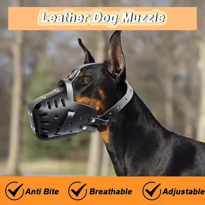 Leder-Maulkorb Deutscher Schäferhund - Anti-Beißen, atmungsaktiv