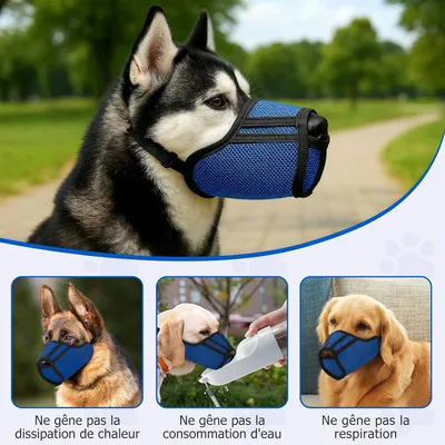 Bequemer Mesh-Maulkorb - Anti-Beißen L, blau