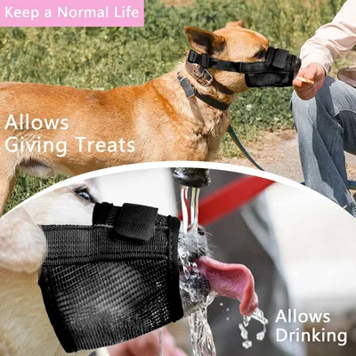 HausPets Maulkorb Hund Nylon Atmungsaktiv Schwarz Größe L