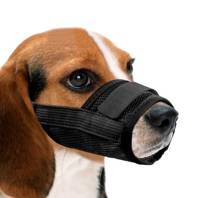 HausPets Maulkorb Hund Nylon Atmungsaktiv Schwarz Größe L