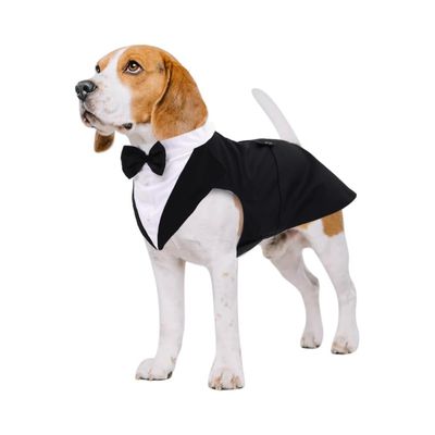HausPets Costume de Smoking pour Chien L