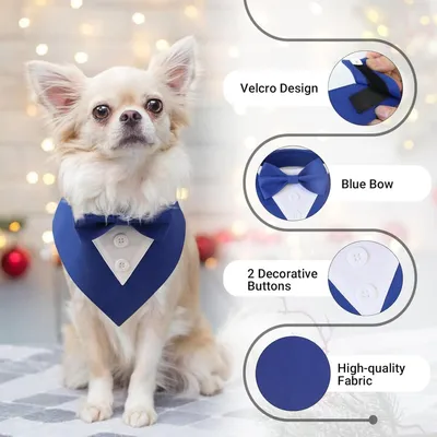HausPets Fliege für Hund und Katze Blau M HausPets Fliege für Hund und Katze Blau M