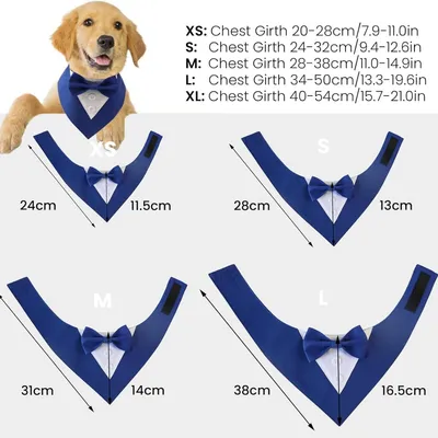 HausPets Fliege für Hund und Katze Blau M HausPets Fliege für Hund und Katze Blau M