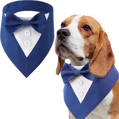 HausPets Noeud Papillon Chien Chat Bleu M