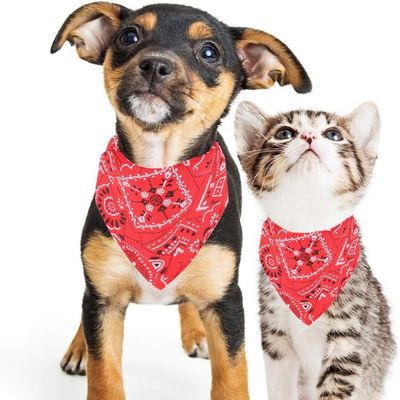 HausPets Bandana Réglable Chien Chat Rouge M