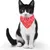 HausPets Verstellbares Hund-Katzen-Bandana Rot M HausPets Verstellbares Hund-Katzen-Bandana Rot M