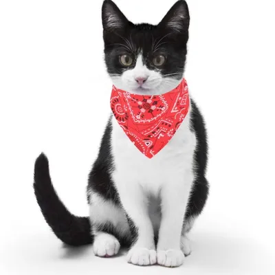 HausPets Verstellbares Hund-Katzen-Bandana Rot M HausPets Verstellbares Hund-Katzen-Bandana Rot M
