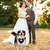 HausPets Hund Fliege - Formal, Verstellbar, D-Ring HausPets Hund Fliege - Formal, Verstellbar, D-Ring
