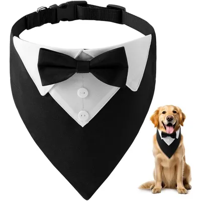 HausPets Hund Fliege - Formal, Verstellbar, D-Ring HausPets Hund Fliege - Formal, Verstellbar, D-Ring