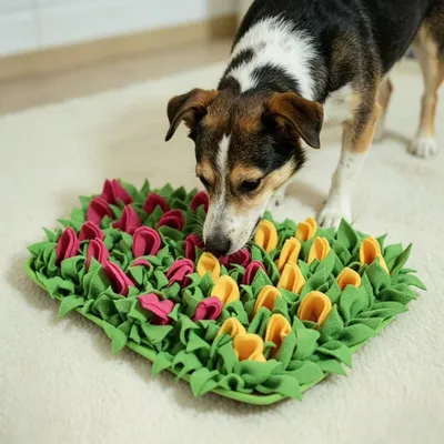 HausPets Tapis d'odorat anti - étouffement pour chiens HausPets Tapis d'odorat anti - étouffement pour chiens