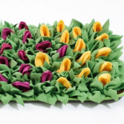 HausPets Tapis d'odorat anti - étouffement pour chiens