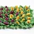 HausPets Tapis d'odorat anti - étouffement pour chiens HausPets Tapis d'odorat anti - étouffement pour chiens