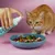 Tierliebhaber Dentalspray für Katzen Tierliebhaber Dentalspray für Katzen