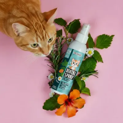Tierliebhaber Dentalspray für Katzen Tierliebhaber Dentalspray für Katzen