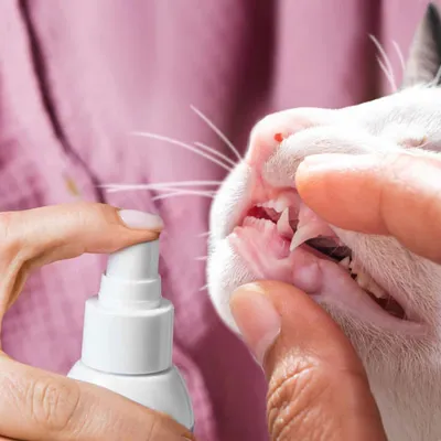 Tierliebhaber Dentalspray für Katzen Tierliebhaber Dentalspray für Katzen
