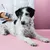 Tierliebhaber Z-Spot für Hunde Tierliebhaber Z-Spot für Hunde