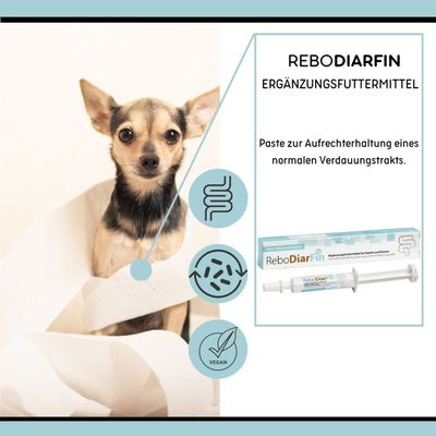 reboVet ReboDiarFin für Hunde & KatzenQ