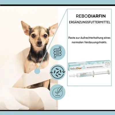 reboVet ReboDiarFin für Hunde & KatzenQ reboVet ReboDiarFin für Hunde & KatzenQ
