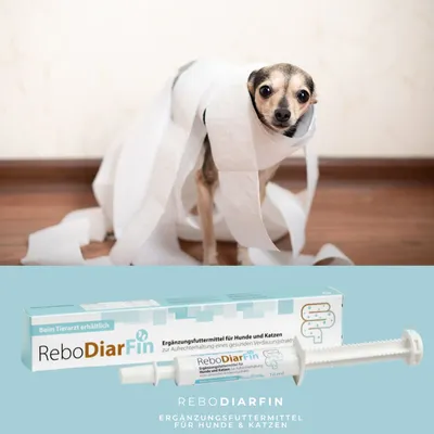 reboVet ReboDiarFin für Hunde & KatzenQ reboVet ReboDiarFin für Hunde & KatzenQ