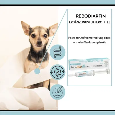 reboVet ReboDiarFin für Hunde & KatzenQ