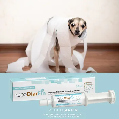 reboVet ReboDiarFin für Hunde & KatzenQ