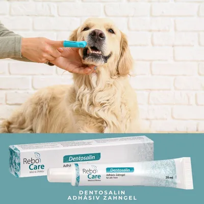 reboCare Dentosalin Adhäsives Zahngel für Hunde & KatzenQ