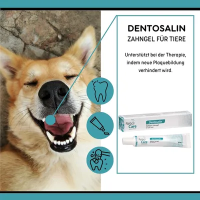 reboCare Dentosalin Adhäsives Zahngel für Hunde & KatzenQ