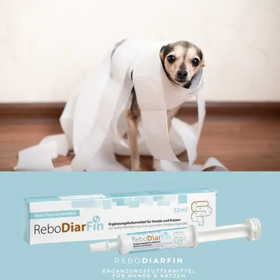 reboVet ReboDiarFin für Hunde & KatzenQ reboVet ReboDiarFin für Hunde & KatzenQ