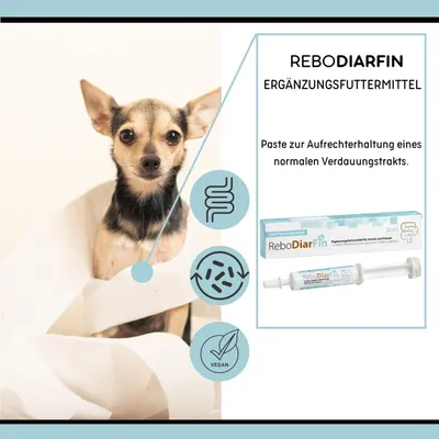 reboVet ReboDiarFin für Hunde & KatzenQ reboVet ReboDiarFin für Hunde & KatzenQ