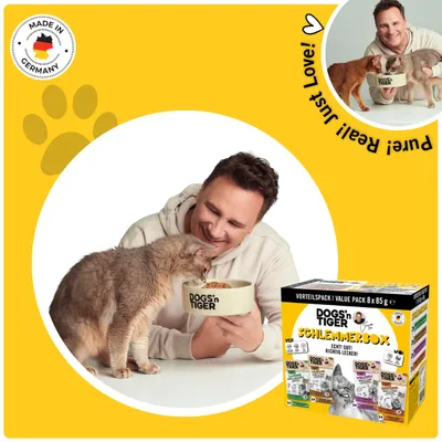 Dogs’n Tiger Katzenfutter, Schlemmerbox, 8x 85g