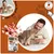 Dogs’n Tiger Zierfeder Katzenfutter, Adult Nassfutter, Huhn & Fasan
