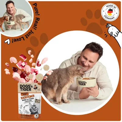 Dogs’n Tiger Zierfeder Katzenfutter, Adult Nassfutter, Huhn & Fasan