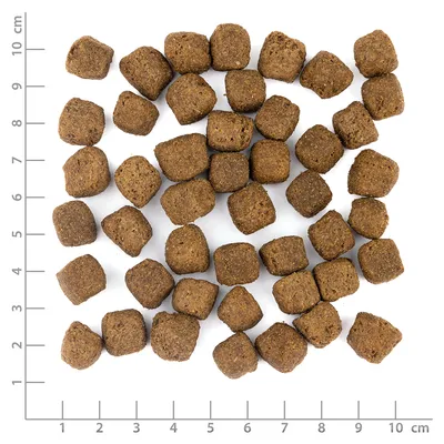 Wolfsblut - Dark Forest - Limited Ingredients Adult Trockenfutter für Hunde Wolfsblut - Dark Forest - Limited Ingredients Adult Trockenfutter für Hunde