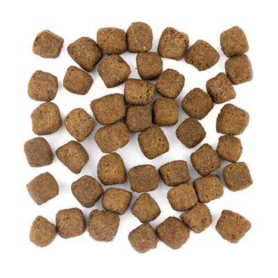 Wolfsblut - Dark Forest - Limited Ingredients Adult Trockenfutter für Hunde Wolfsblut - Dark Forest - Limited Ingredients Adult Trockenfutter für Hunde