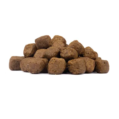 Wolfsblut - Cold River - Limited Ingredients Adult Trockenfutter für Hunde