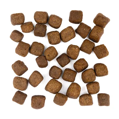 Wolfsblut - Cold River - Limited Ingredients Adult Trockenfutter für Hunde