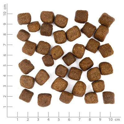 Wolfsblut - Cold River - Limited Ingredients Adult Trockenfutter für Hunde