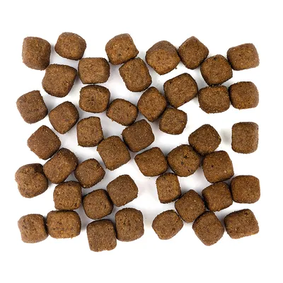 Wolfsblut - Wild Duck - Limited Ingredients Adult Trockenfutter für Hunde