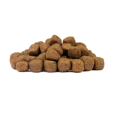 Wolfsblut - Wild Duck - Limited Ingredients Adult Trockenfutter für Hunde