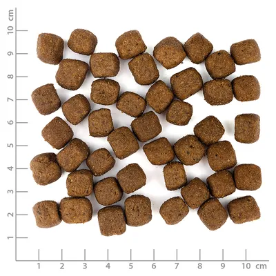 Wolfsblut - Wild Duck - Limited Ingredients Adult Trockenfutter für Hunde